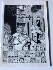 1978 Captive Chains Comic Art Book RAYMOND PETTIBONE zine punk kbd Ginn flag SST