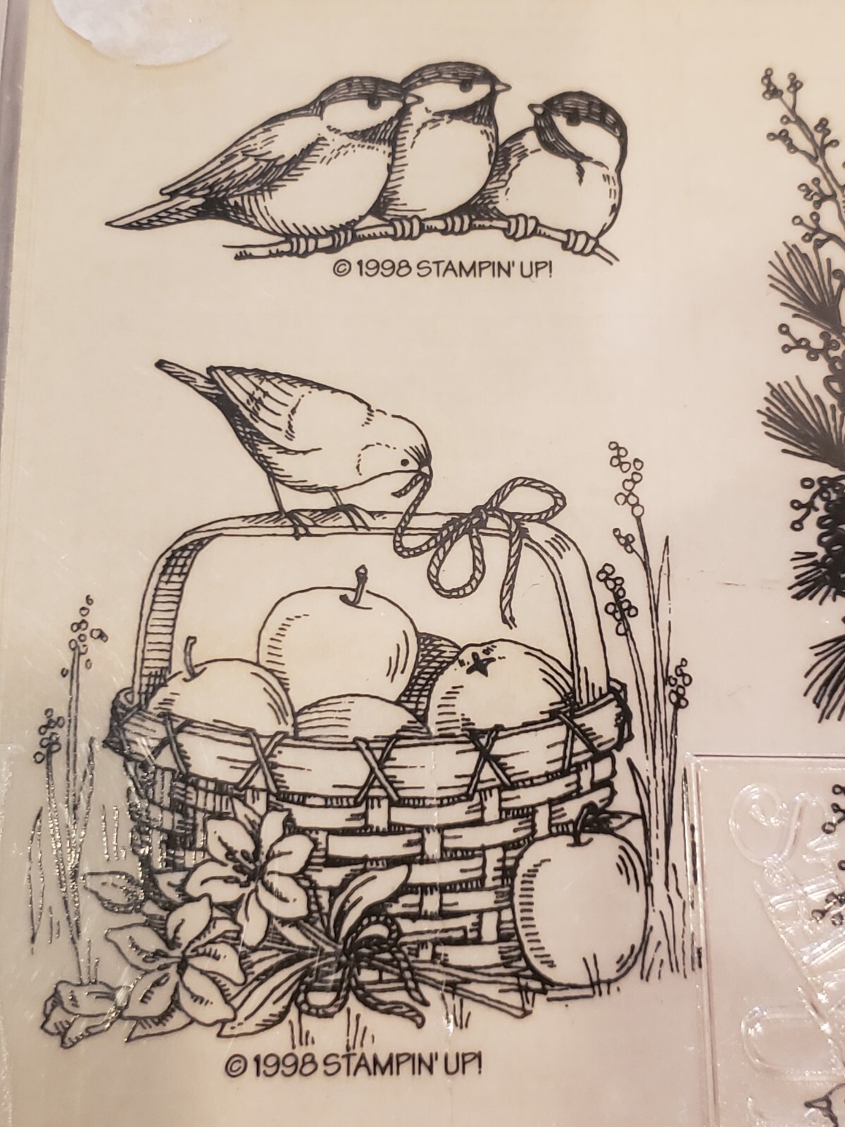 Picture 5 of 8