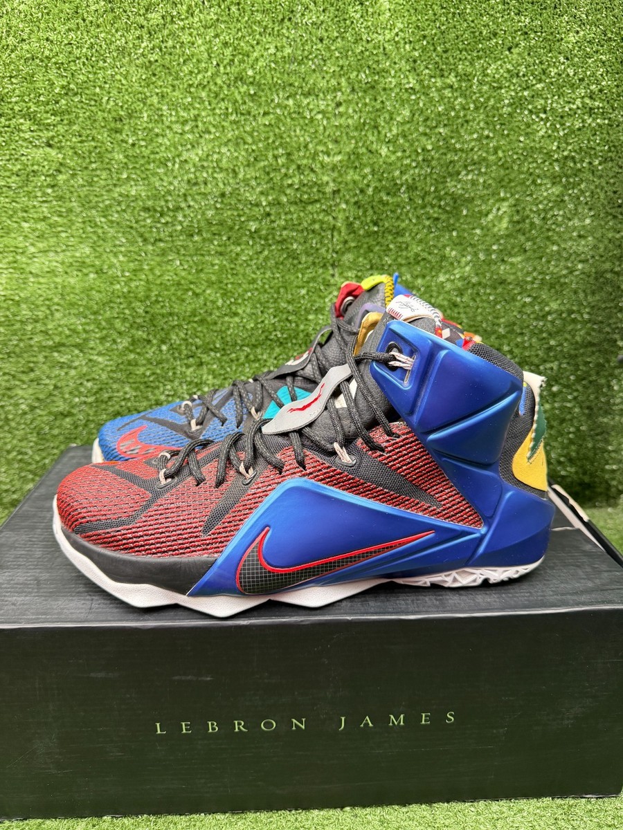 Size 10.5 - Nike LeBron 12 SE What The | eBay