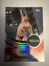 CM Punk 2025 Topps Universe WWE Card #262 Wrestlemania Variant🔥🔥