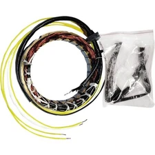 Ricks Motorsport Electric - 21-100 - Stator