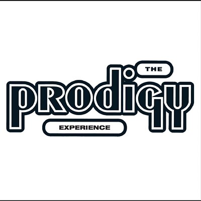 The Prodigy - Experience - Vinyl Record