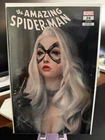 AMAZING SPIDER-MAN #26 * WARREN LOUW * Black Cat * NM