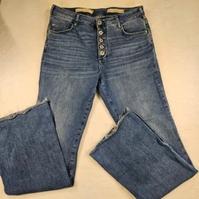 Pilcro and the Letterpress Anthropologie High Rise Skinny Bootcut Jeans 30 Blue