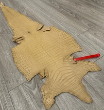 Tan Genuine Crocodile Belly Tail Hide Leather Skin real alligator croc 403