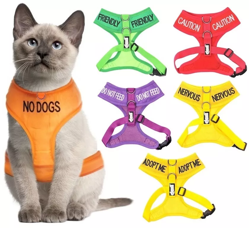 Extra large hotsell cat harness