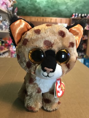 buckwheat beanie boo