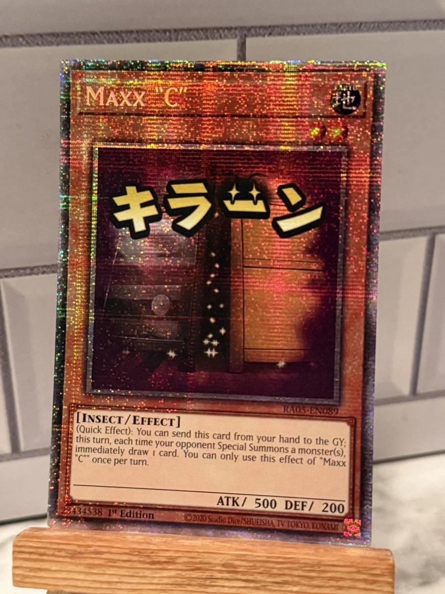 Maxx 