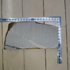 Bild 11 von 12