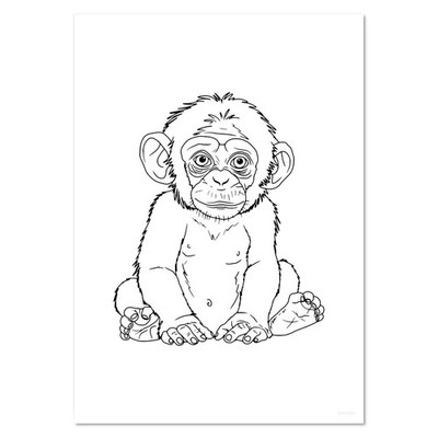 Wandposter/Drucke ''Charmantes Baby Affe'' (PP053212)
