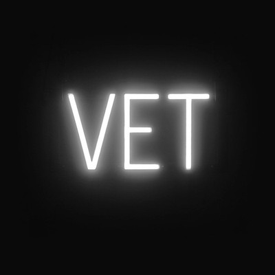 SpellBrite VET Sign | Neon Vet Sign Look, LED Light | 13.1'' x 6.3''