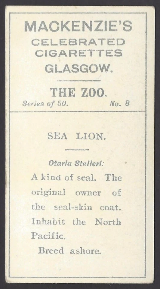 MACKENZIE - THE ZOO - #8 SEA LION - Image 2 of 2