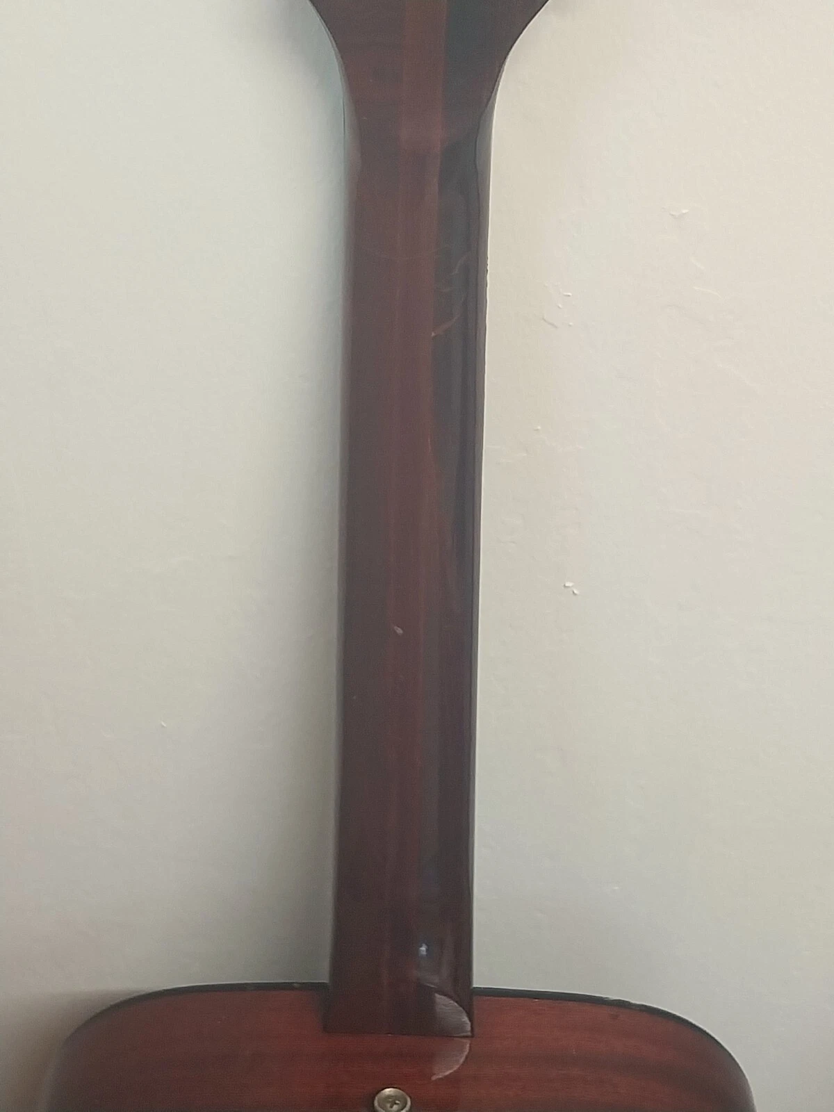 Picture 7 of 19