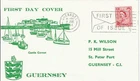 1964 Guernsey 2.5d Regional On Lovely Wilson FDC Cat £30