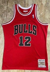 bulls 12 jersey