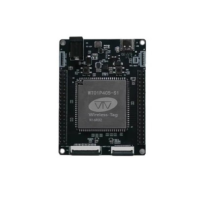 WTDKP4C5-S1 Kompaktes Dual-Chip-Entwicklungsboard mit -P4 und -C5 C9I6