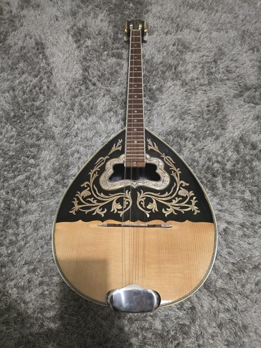 Greek Bouzouki with SOFTCASE & PICK UP & TUNER & 300 BACKING TRACK WITH SCORES 