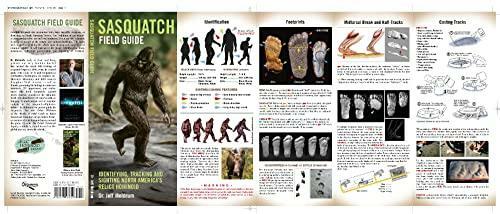 Sasquatch Field Guide: Identifying, Tracking and Sighting North