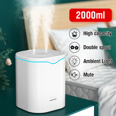 2L USB Air Humidifier Dual Spray Essential Oil Aromatherapy Diffuser Cool Mist