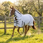 White & Zebra Fly Mesh Rug for Horse Pony Shetland - Lightweight Full Neck Combo