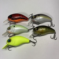 Raid Japan Gorilla 5 Pieces