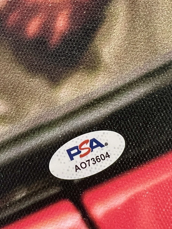 DERRICK ROSE SIGNED 20X24 PHOTOFILE CANVAS CHICAGO BULLS AUTO MVP - PSA/DNA COA - Image 3 of 4