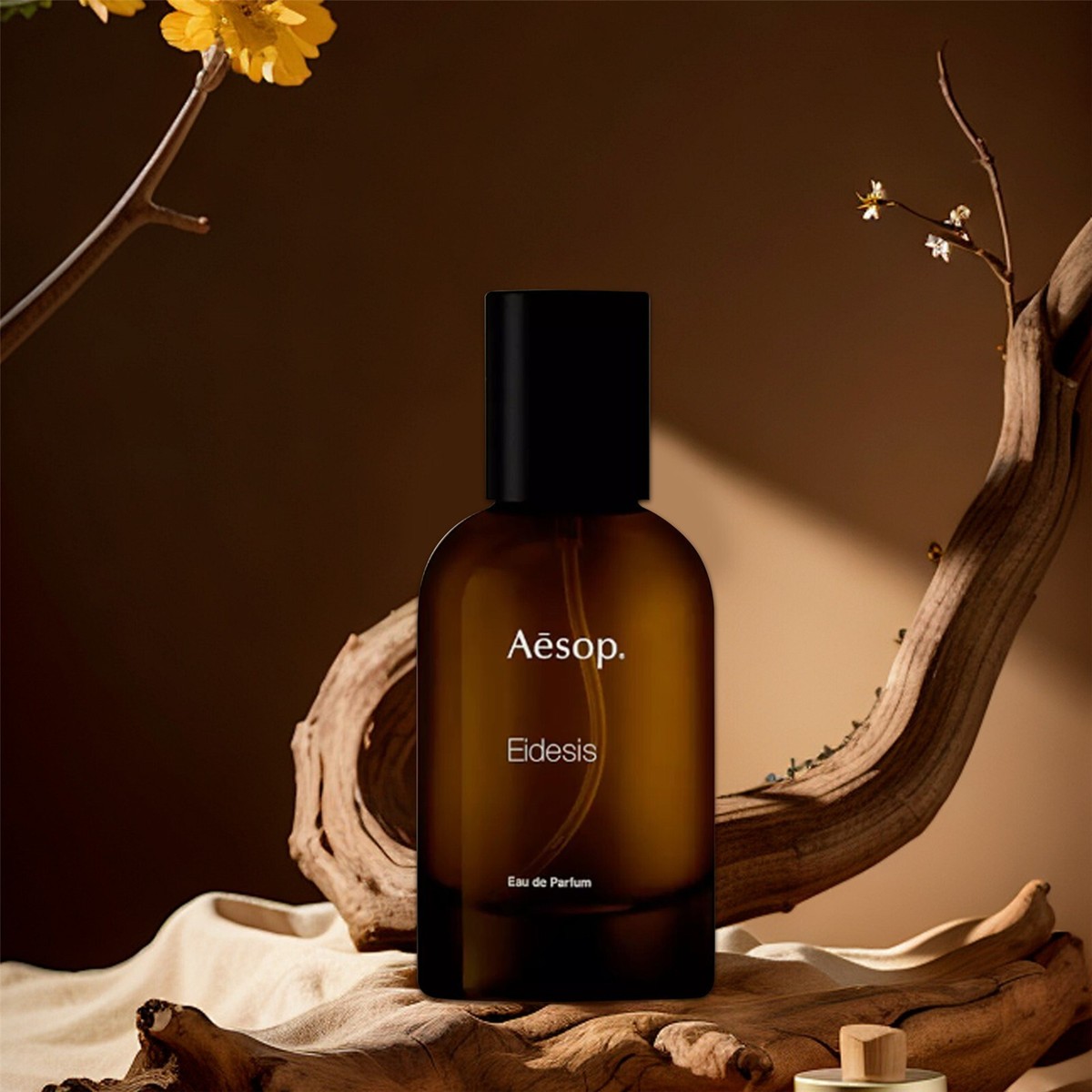 Aesop eidesis Eau de Parfum EDP 1.6 oz 50 ML For Unisex New Aesop eidesis Eau de Parfum EDP 1.6 oz 50 ML For Unisex New