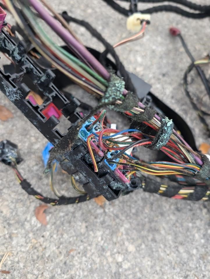 Body Wiring Harness (For Pigtails) 2005 Bentley Continental GT 03-10 For Parts X