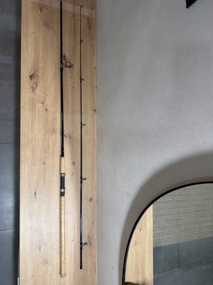 Ron Thompson X-Cite Spin 10 Rute 300cm 20-40g