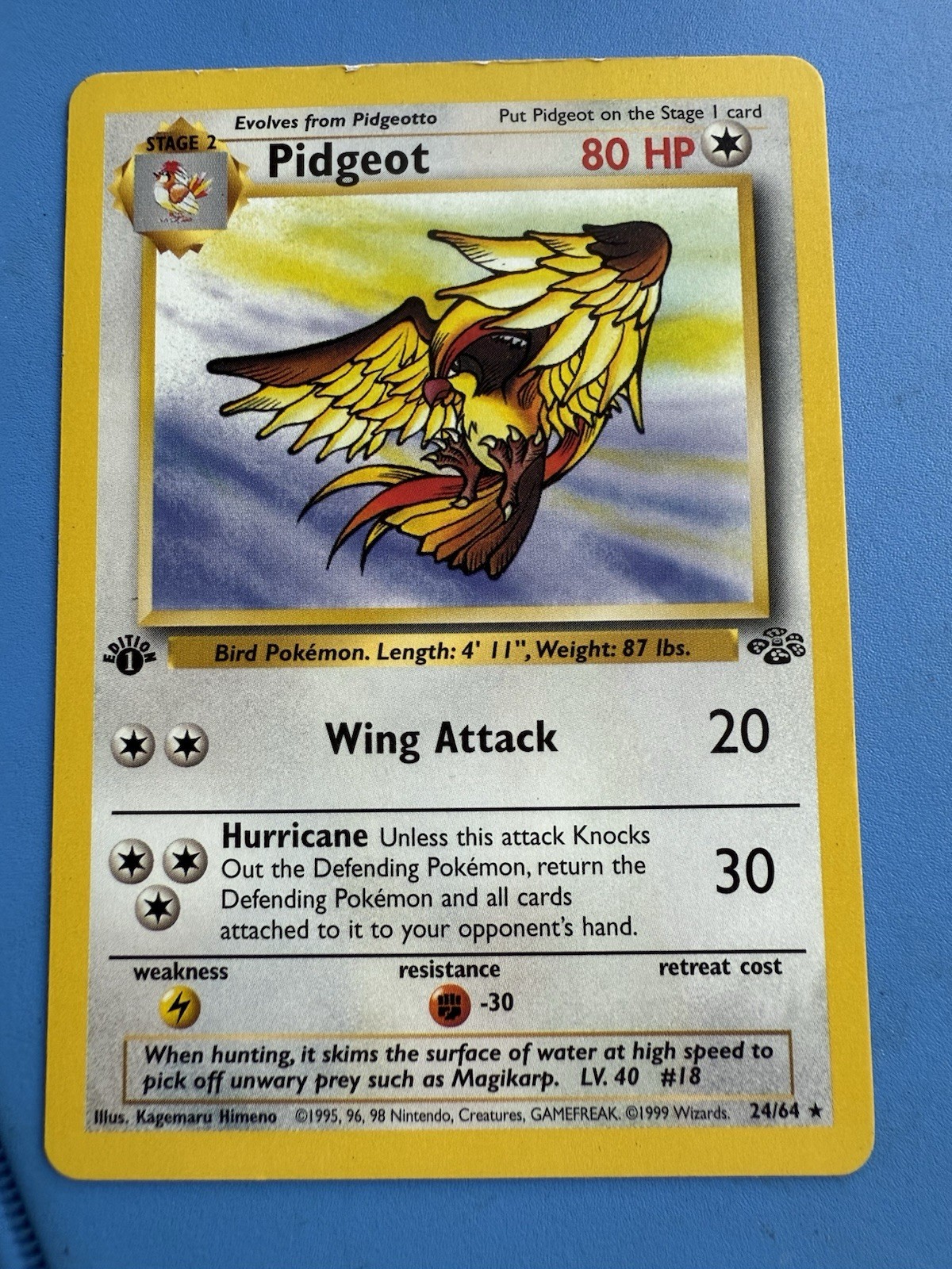 Pokémon TCG Pidgeot Jungle Card 24/64 1st Edition Rare NM