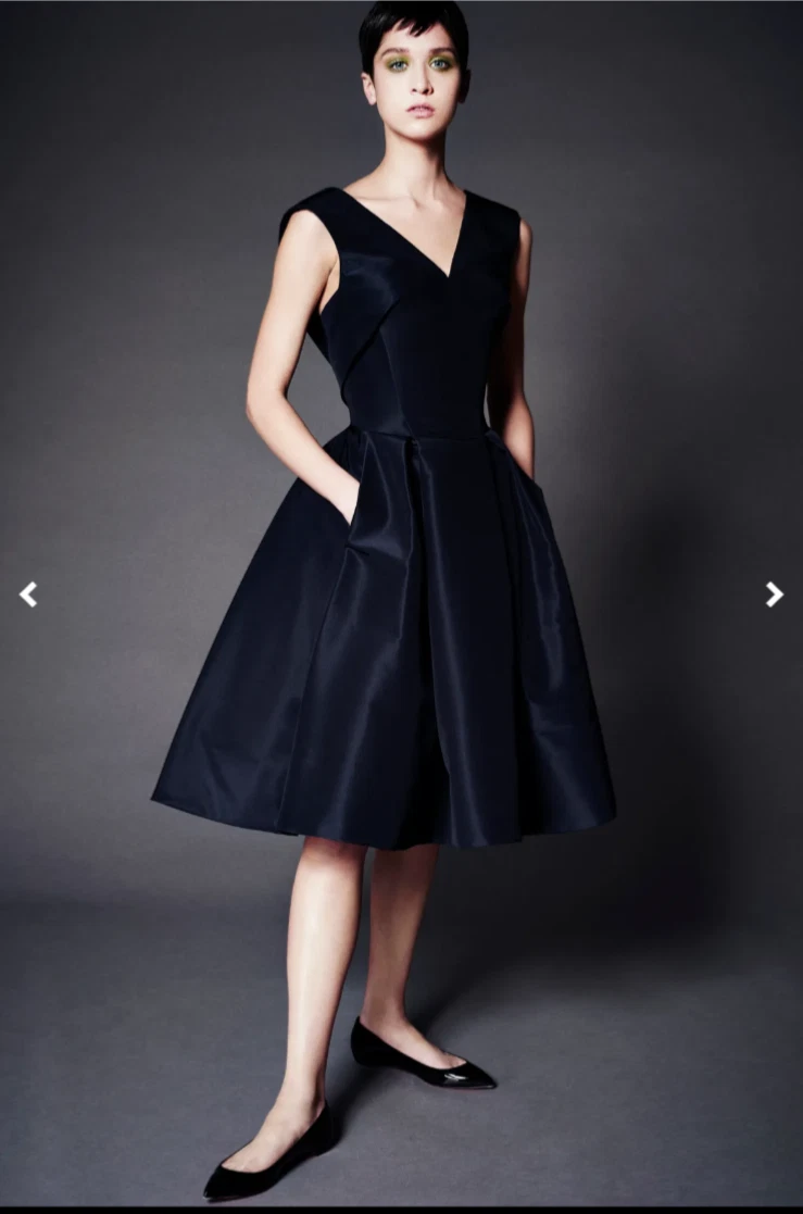 francescas black dress Women Size 4 ZAC POSEN Black Embroidered Vintage Dress