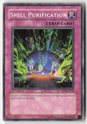 Spell Purification RDS-EN058 1st Edition Common Rise of Destiny Yu-Gi-Oh