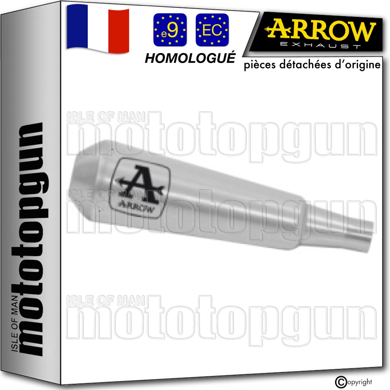 Silencieux Arrow Pro-Race Nichrom Brixton Felsberg 250 de 2020