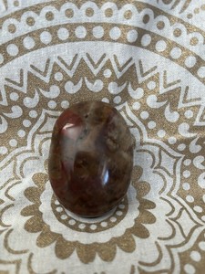 Petrified Wood Palm Stone Polished Red Brown Fossil 123g