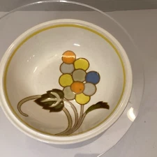 Mikasa Forecast Chablis D6303 Salad,soup,cereal Bowl.  Made In Japan-see Picture