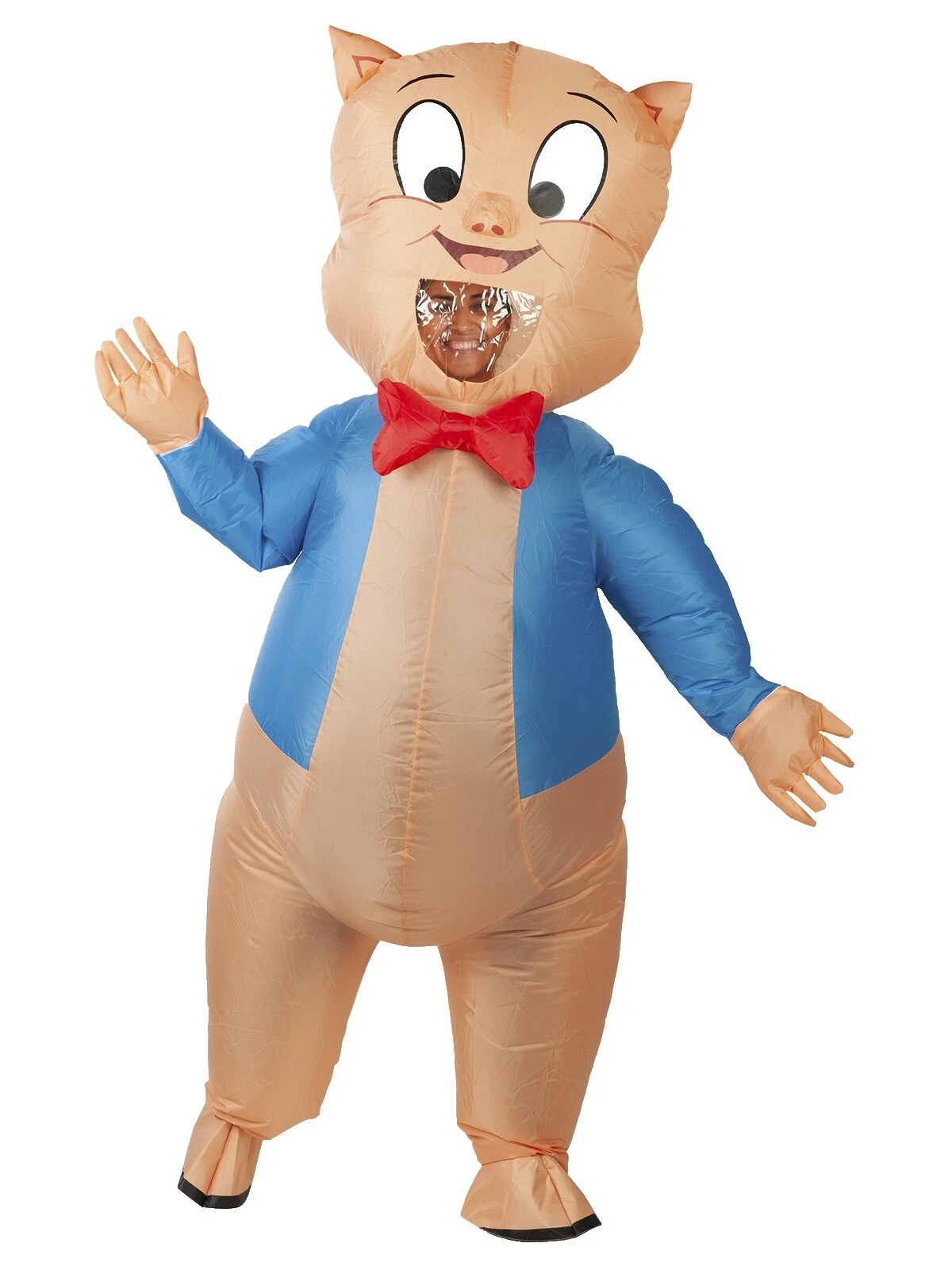 Cartoon Characters PVC Costumes