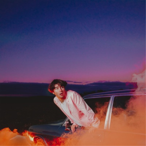 Альбом Alfie Templeman Forever Isnt Long Enough (CD)