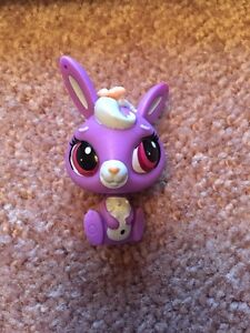 lps purple bunny