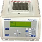 Foto 10 di 21