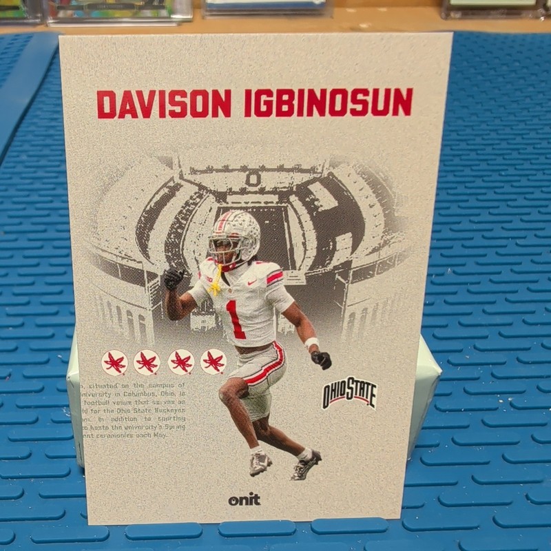 David Igbinosun - 2025 ONIT Gray Vestige RC - Ohio State Buckeyes