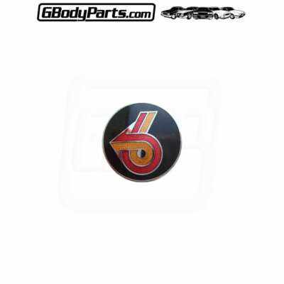 Pair Of ’82-’85 Turbo T-Type Regal “POWER 6” Fender Emblems – GM OEM Style, Adhesive Back, Gbodyparts