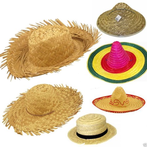 NUOVO Adulti Cappello di paglia spiaggia Lei Ghirlanda Occhiali Hula  Hawaiano Addio al Nubilato Addio Al Celibato Costume | eBay