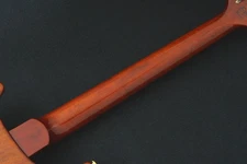 Paul Reed Smith PRS Private Stock Paul'S 28 -Burnt Gold- Limited To Pieces World