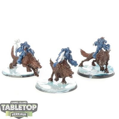 Space Wolves - 3 x Thunderwolf Cavalry - teilweise bemalt