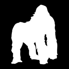 Gorilla Ape Zoo Decal Sticker White Die Cut Vinyl
