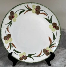 Blue Ridge Southern Potteries Dinner Plate Flower Fantasy 9.5” Vintage 1950s