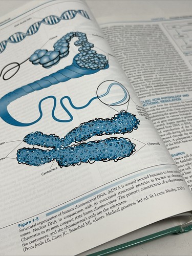 Fundamentals of Molecular Diagnostics by Edward R. Ashwood, David E. Bruns... - Picture 18 of 24
