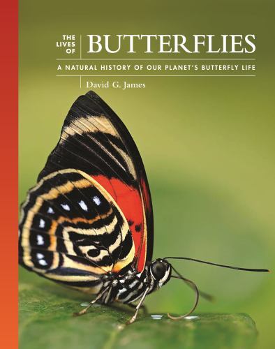 The Lives of The Natural World Ser.: Lives of Butterflies : A Natural History...