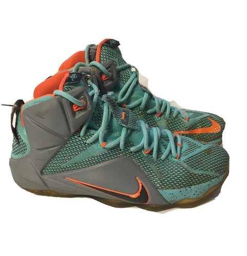 lebron shoes size 12