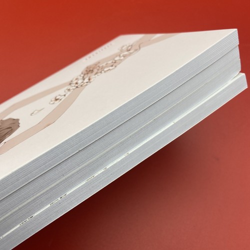 Something Broken Something Beautiful By Robert Drake 4 Volume Set with Slipcase - Picture 6 of 7